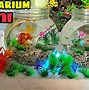 Aquarium Unik Dari Barang Bekas